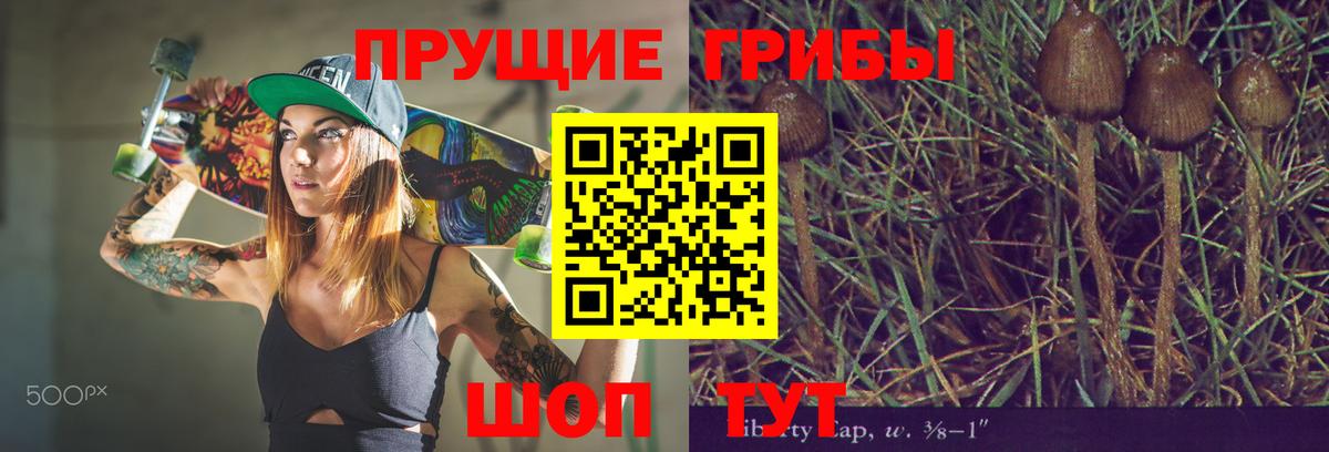 Воткинск  Псилоцибиновые грибы прущие грибы  Вход с VPN 